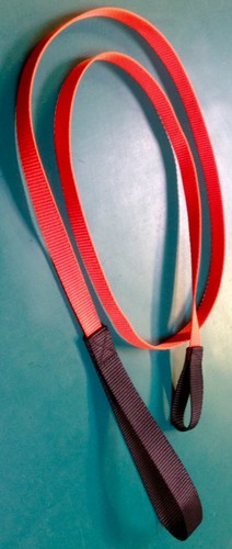 Strong webbing dog slip - webbing,