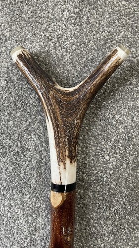Blackthorn stag horn thumb - blackthorn,