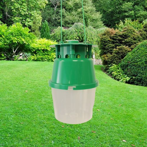 Horse chestnut leaf miner trap - horse,