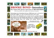 Brooke Bond Advert. 'Adobe Photo Shop' reproduction of: 'British Birds'.