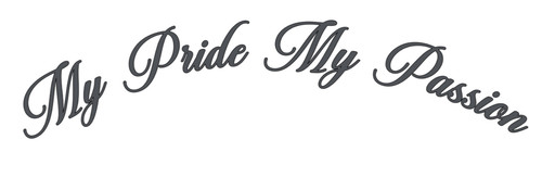 Pride passion truck - my,
