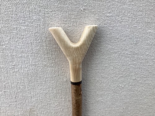 Ash walking hazel thumb - ash, stick