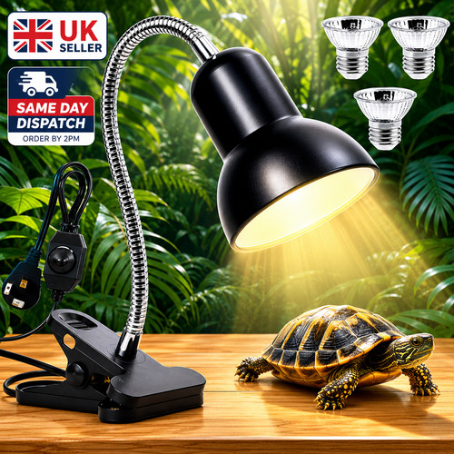 Reptile heat light bulb - reptile,