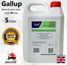 5L - 4L GALLUP - PROFESSIONAL