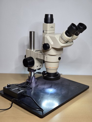 Olympus sz60 trinocular stereo - sz60,