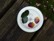 Vintage Plichta  Wemyss