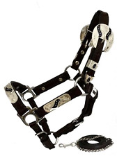 New! Mini MINIATURE HORSE LEATHER SHOW HALTER w/  Engraved silver 6' Foot lead