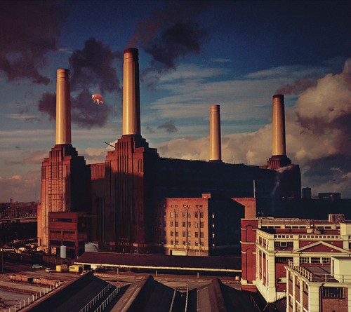 Pink floyd animals vinyl 12 - pink,