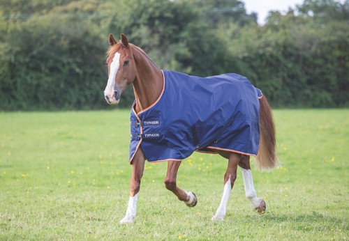 Shires typhoon fill - typhoon, no