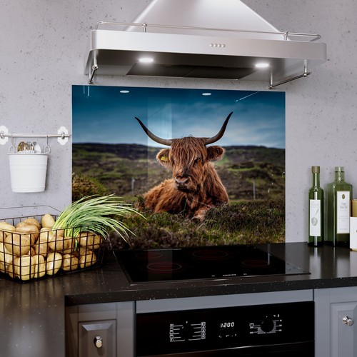 Kitchen glass splashback - glass,