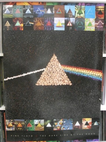 Pink floyd 62cm x - pink,