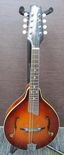 Vintage kasuga flat mandolin - vintage,