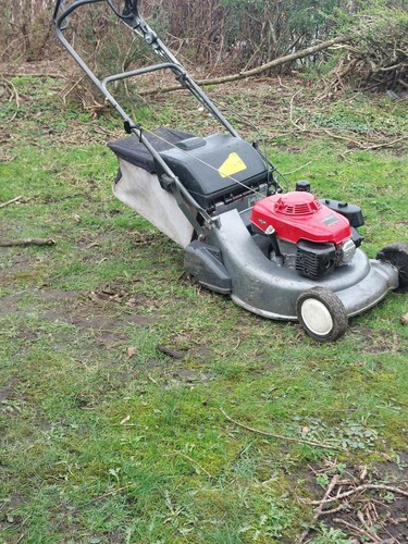Honda hrd 536 qxe rear - honda,