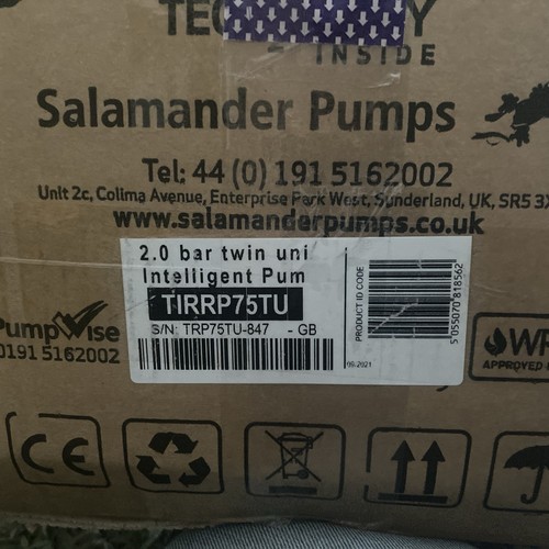 Salamander twin - salamander,