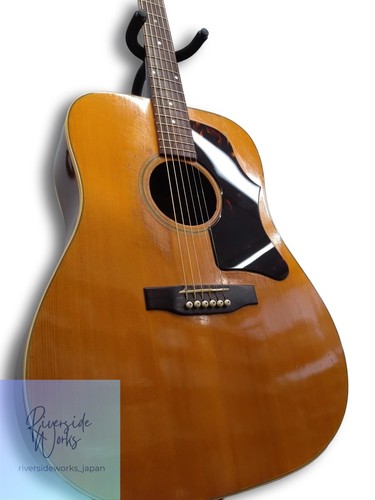 Gibson deluxe acoustic - j-50,