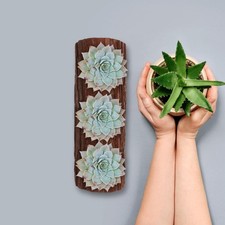  Natural Log Planter Rustic Succulent Pot Decorative Wooden Cactus
