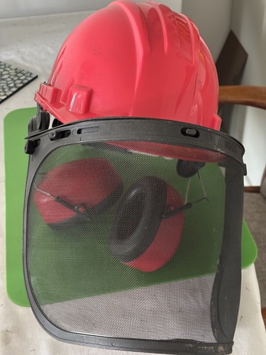 Chainsaw helmet with ear - chainsaw,