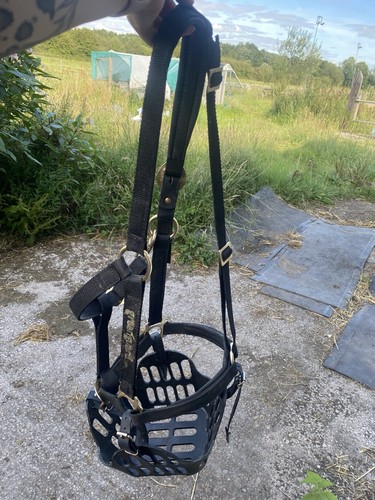 Greenguard grazing muzzle and - greenguard,