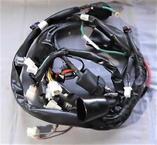 Genuine Daelim VL125 Daystar Complete Wiring Harness 32100-BA1-R330