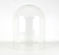 Glass Dome Display Cloche Jar