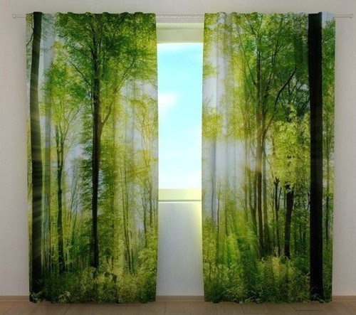 Window curtain sun rays - window,