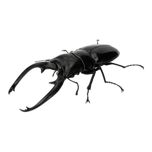 Bandai gashapon stag - gashapon,