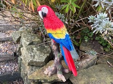 Vivid Arts Red Macaw Parrot