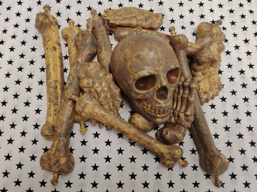 Bag bones skull - of,