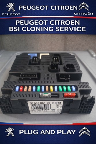 Cloning service for peugeot - for,