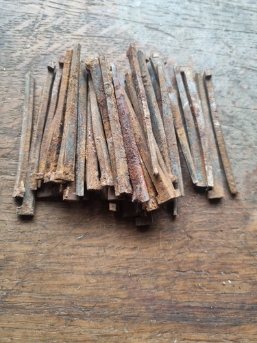 Antique 1889 floor clasp - 50,