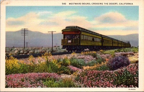 Westward bound train - westward,