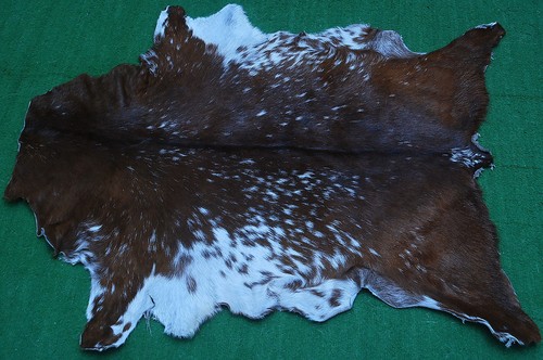 New goat hide - hide, area