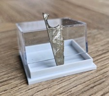 Meteorite Slice with