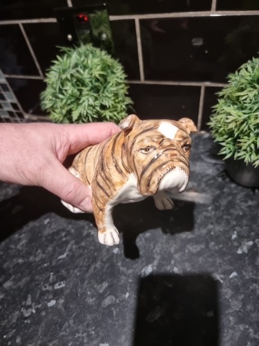 Goldscheider brindle bull dog - goldscheider,
