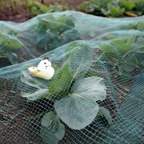 Butterfly garden netting stop - butterfly,