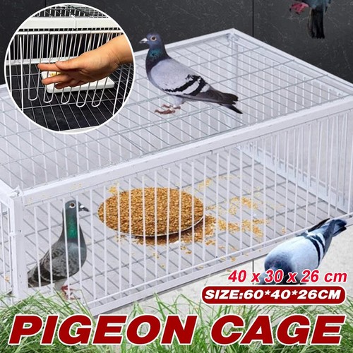 Pigeon trap cage - single, way