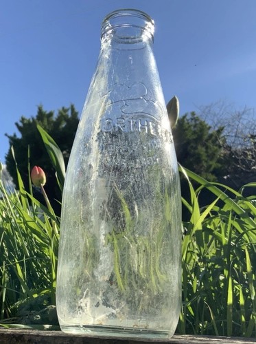 Vintage milk bottle one pint - vintage,