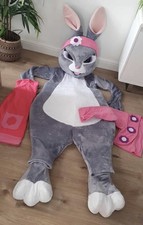 girl bunny rabbit mascot