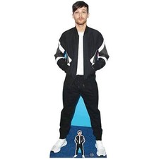 Louis Tomlinson Lifesize
