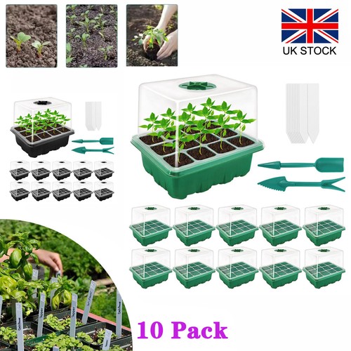 Pack plant seed starter - seed,