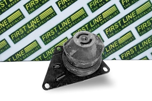 First line fem3141 - first,