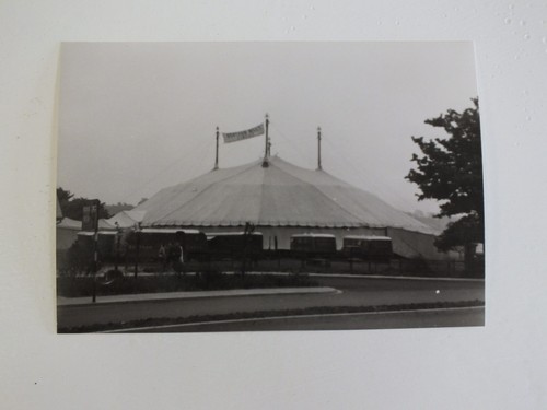 Bertram mills circus show - bertram,