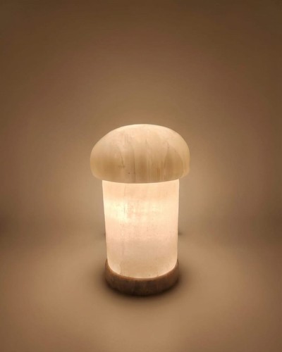 Enchanted glow selenite - enchanted,