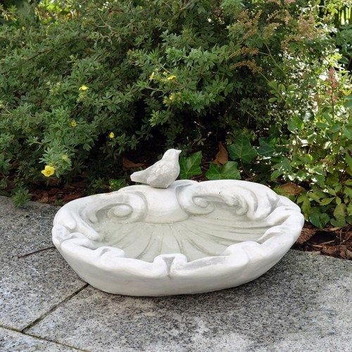 Drinking bowl birds - birds, birdbath