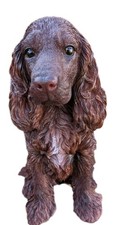 Chocolate Brown Cocker Spaniel