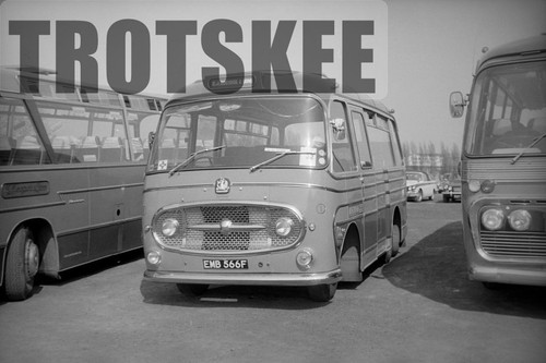 35mm negative bostock - negative,
