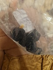 Brand New Steiff Bear Bell Boy