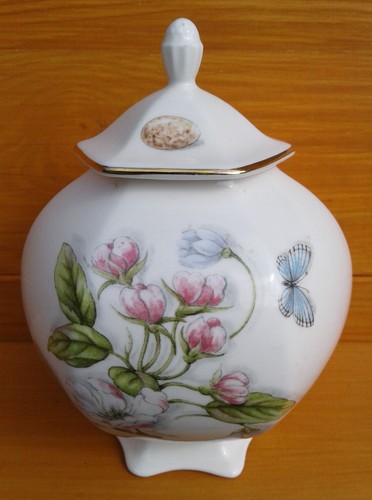 Aynsley nature s delights - nature's,