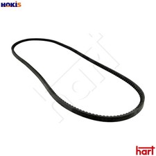 VBELT 930 695 FOR FORD