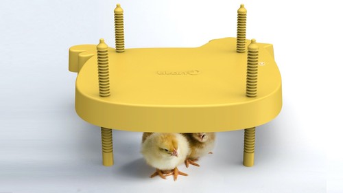 Brooder mother hen - xl, chick